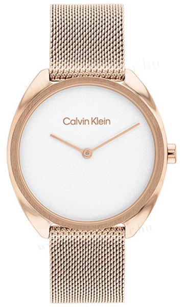 Calvin Klein CK25200270 karóra