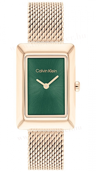 Calvin Klein CK25200395 karóra
